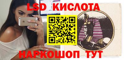 прущие грибы Кингисепп