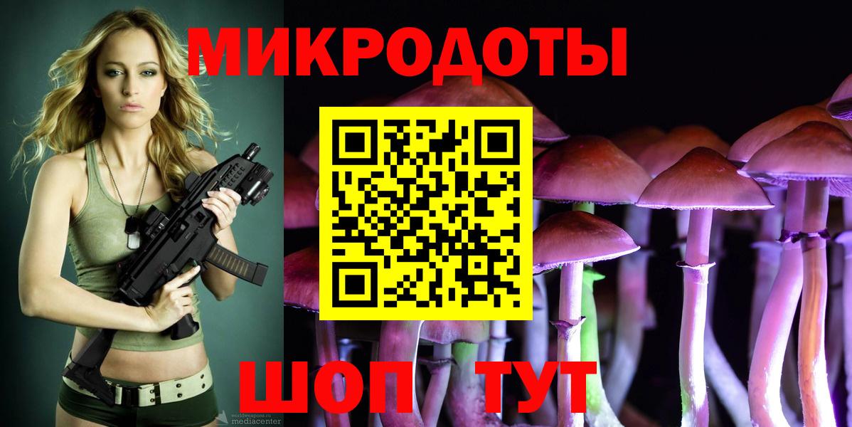 Галлюциногенные грибы Psilocybe  Вход с VPN  Коммунар 